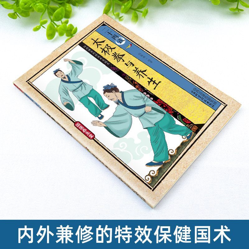 24 Stili di Tai Chi ed Eserciz - Health & Wellness Rehab recensione e prezzo